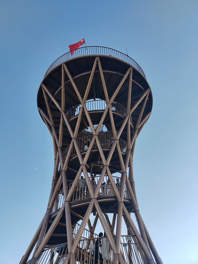 太原植物園遛娃攻略網紅大扶梯+猴面包樹