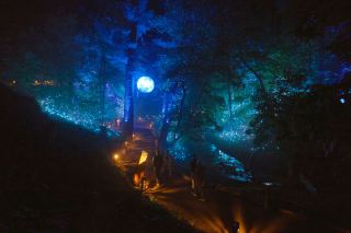 Aquavia Lumina: A Nighttime Journey of Light and Shadow Illusions