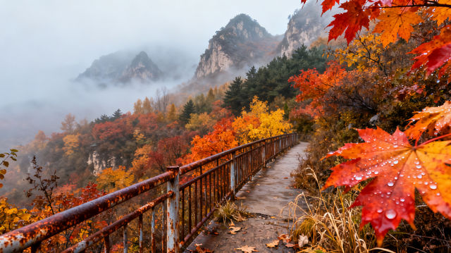 反向旅遊贏麻了!國慶後的阜平,我承包了整座太行山的紅葉 反向旅遊贏麻了!國慶後的阜平,我承包了整座太行山的紅葉