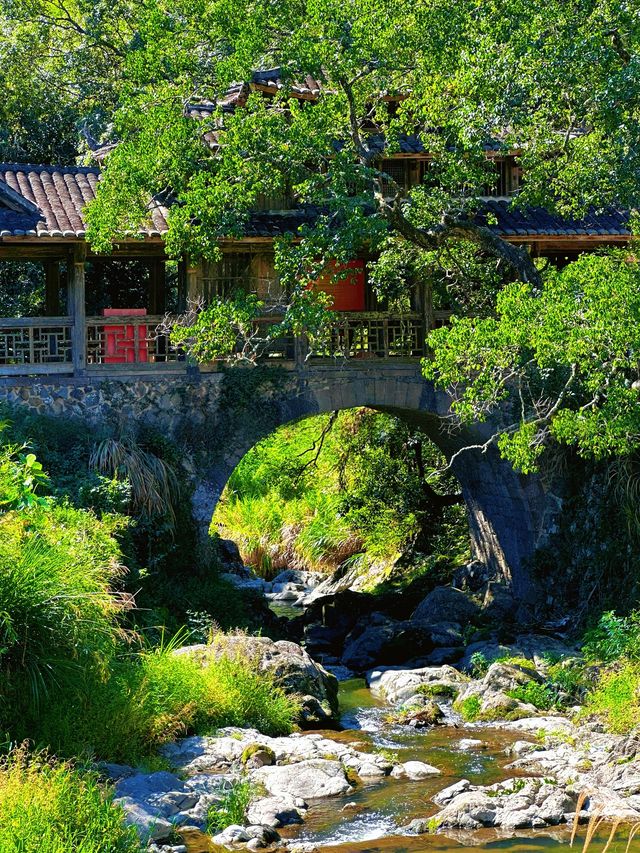 泰順毓文橋在浙南山水間邂逅清代廊橋遺夢 泰順毓文橋在浙南山水間邂逅清代廊橋遺夢