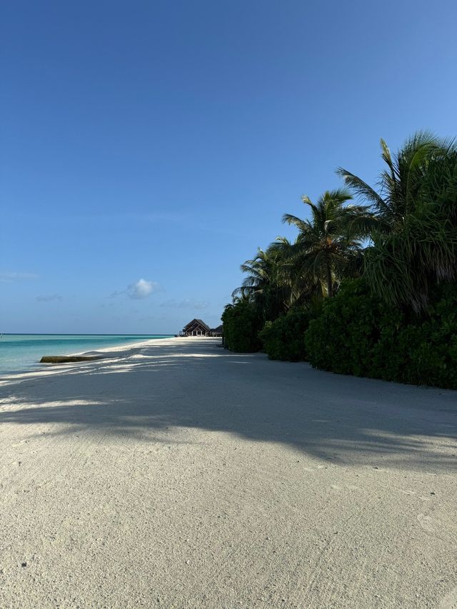 An Unforgettable Stay at Anantara Dhigu Maldives An Unforgettable Stay at Anantara Dhigu Maldives