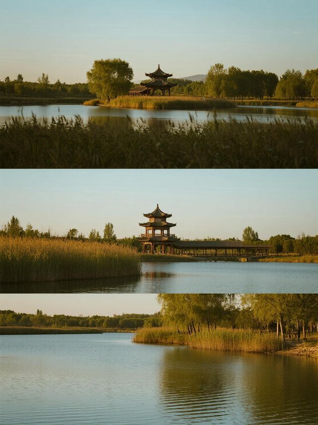 帶娃玩轉濱州淄博！4天行程超省心