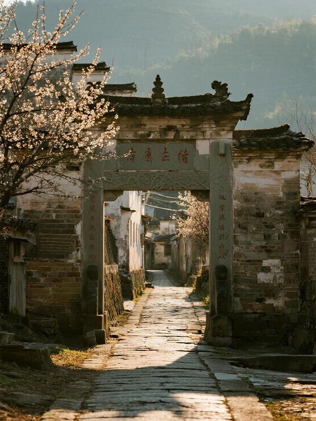 粵北秋遊天花板!古道徒步+稻田小火車,娃迷上姓氏考古之旅 粵北秋遊天花板!古道徒步+稻田小火車,娃迷上姓氏考古之旅