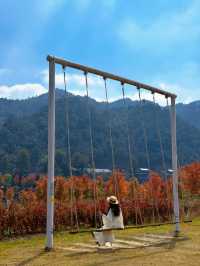 廣東人的浪漫闖入童話般的紅葉秋天!