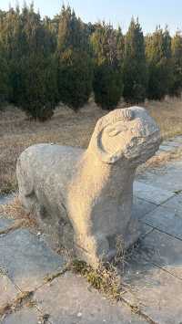 化明塘嚴氏墓丨封藏了600年的淒美愛情故事