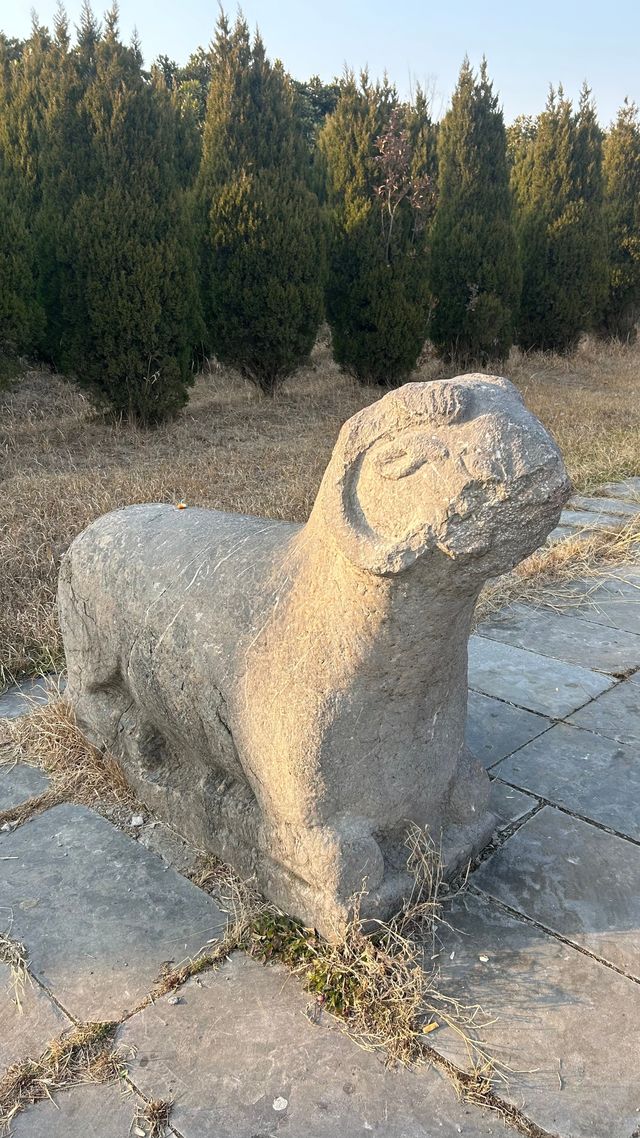 化明塘嚴氏墓丨封藏了600年的淒美愛情故事 化明塘嚴氏墓丨封藏了600年的淒美愛情故事