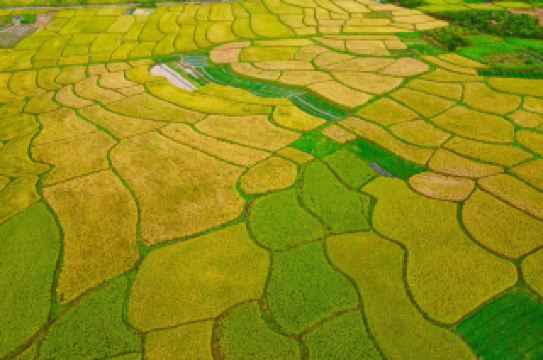 The Earth's Palette, Autumn Symphony