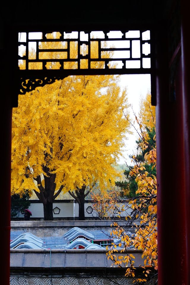 立冬的頤和園#北京的秋冬