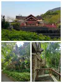 探秘五指山亞泰雨林酒店：住進熱帶雨林的夢幻之境