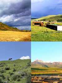 塔公草原藏於川西的「風蕭草低見牛羊」秘境