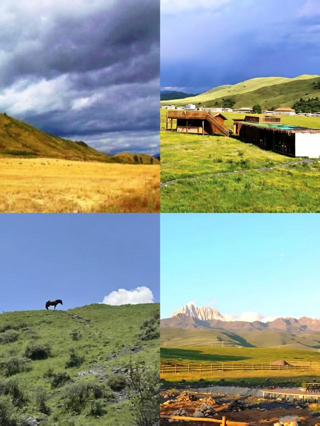 塔公草原藏於川西的「風蕭草低見牛羊」秘境