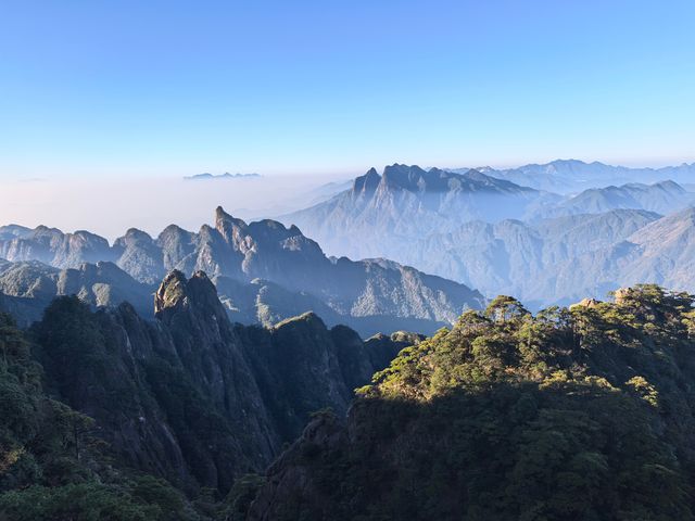 聽我的，不費腿看美景
