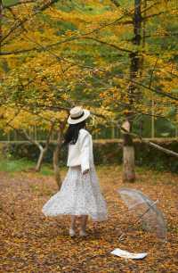 尖叫！韶關帽子峰金色童話世界已上線！！