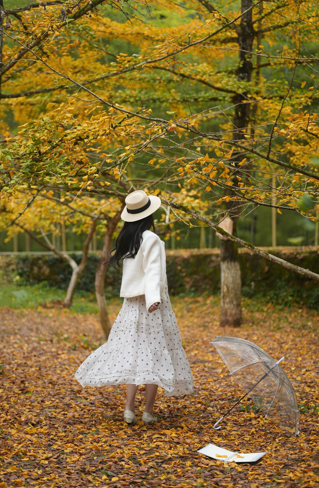 尖叫！韶關帽子峰金色童話世界已上線！！