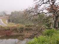 令人驚艷的賞秋之地——中國甜柿第一村