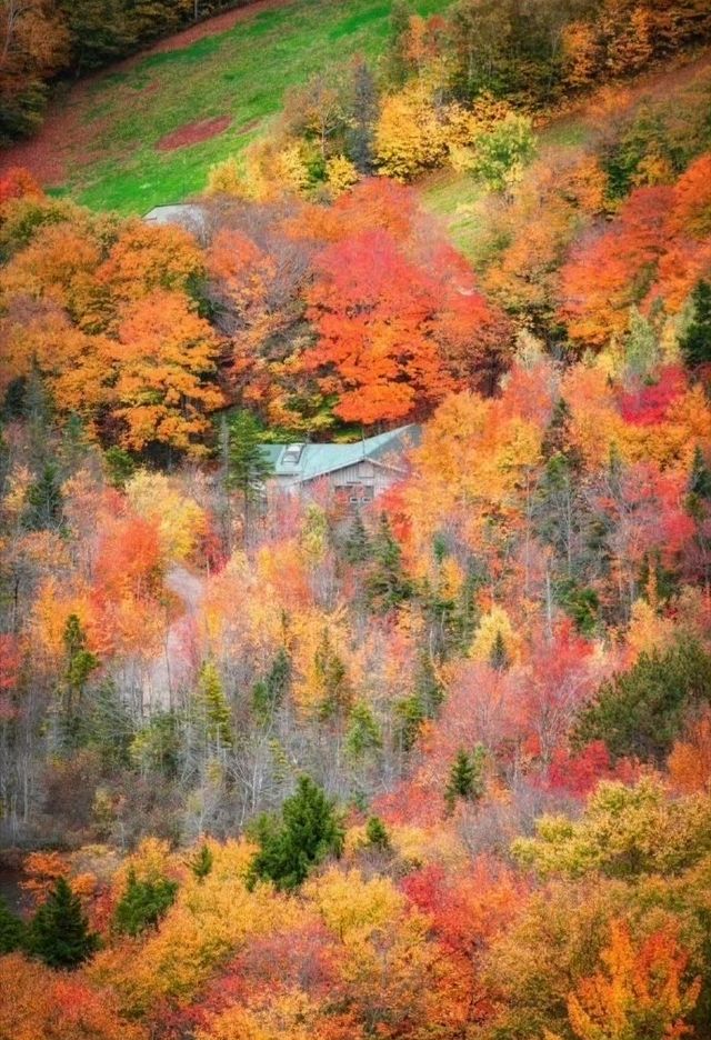 霜染鍋盔鋪錦繡 暖居枕秋入夢來