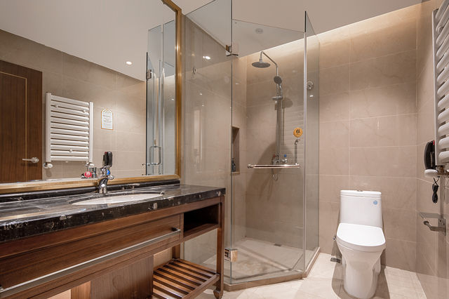 在康定過彝族年