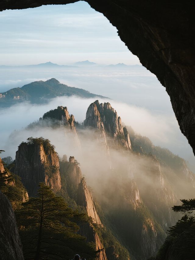 帶娃遊莽山！不用爬山的雲海親子之旅