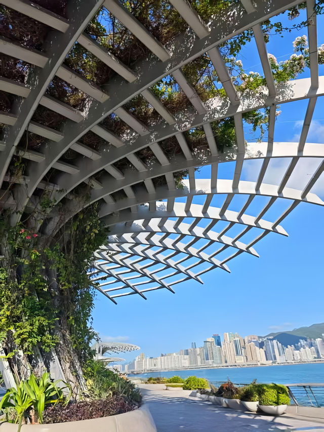 港澳4日秋遊這份攻略懶人直接抄