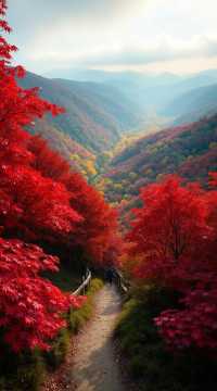 醉美紅葉谷一日遊