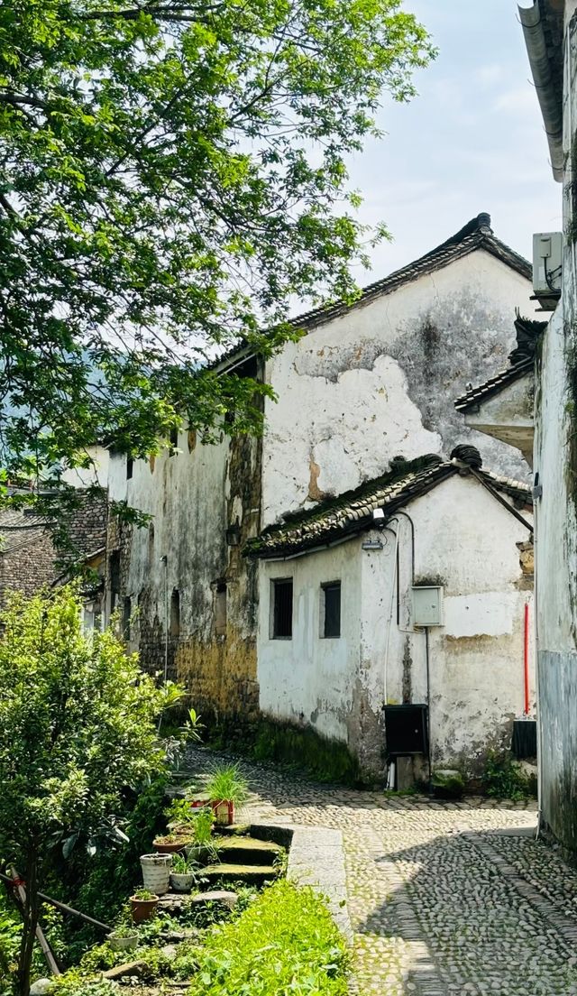 杭州龍門古鎮:景色醉人的江南秘境