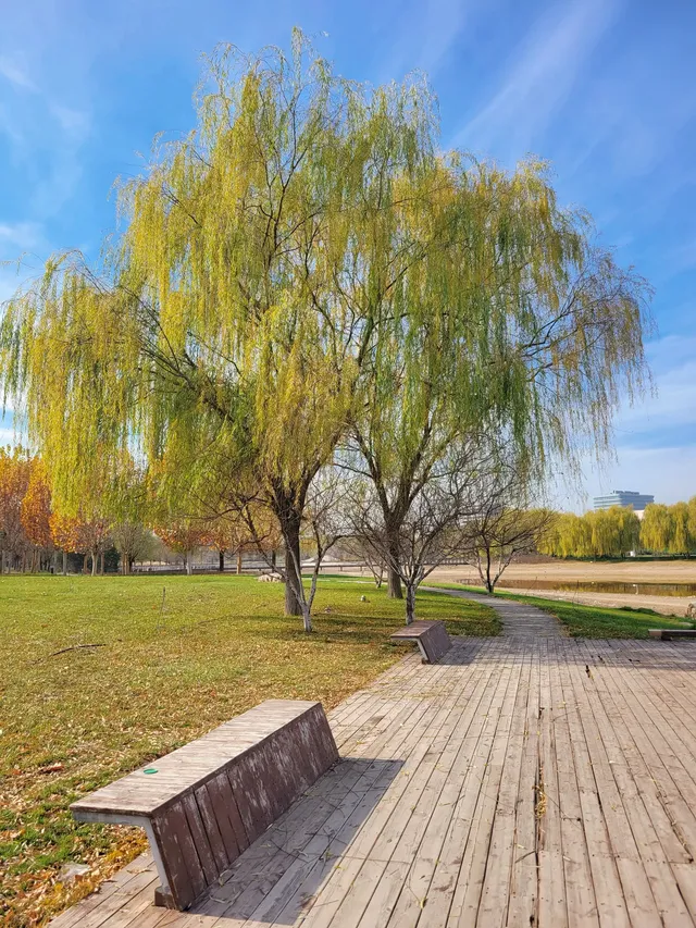 官宣石家莊的封神秋色在這裡