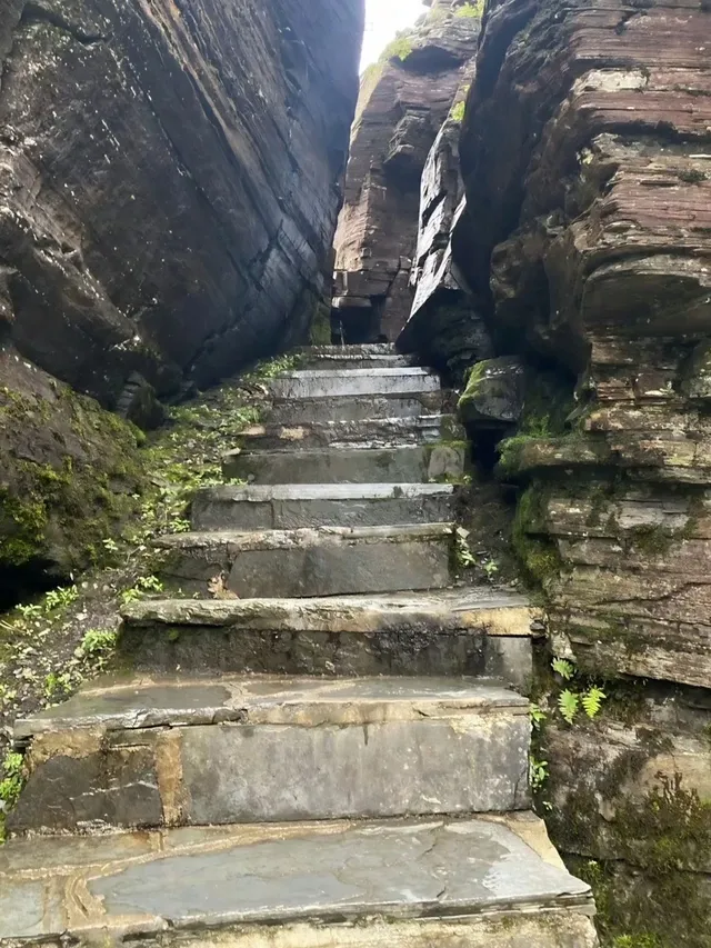 11-12月去梵淨山!99%不知道的出行小Tips! 11-12月去梵淨山!99%不知道的出行小Tips!