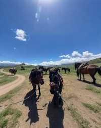 祁連山草原·天境漫遊指南 | 闖入東方瑞士,策馬奔騰在雲端牧場