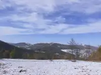 不想上班的小張今天去樺皮嶺