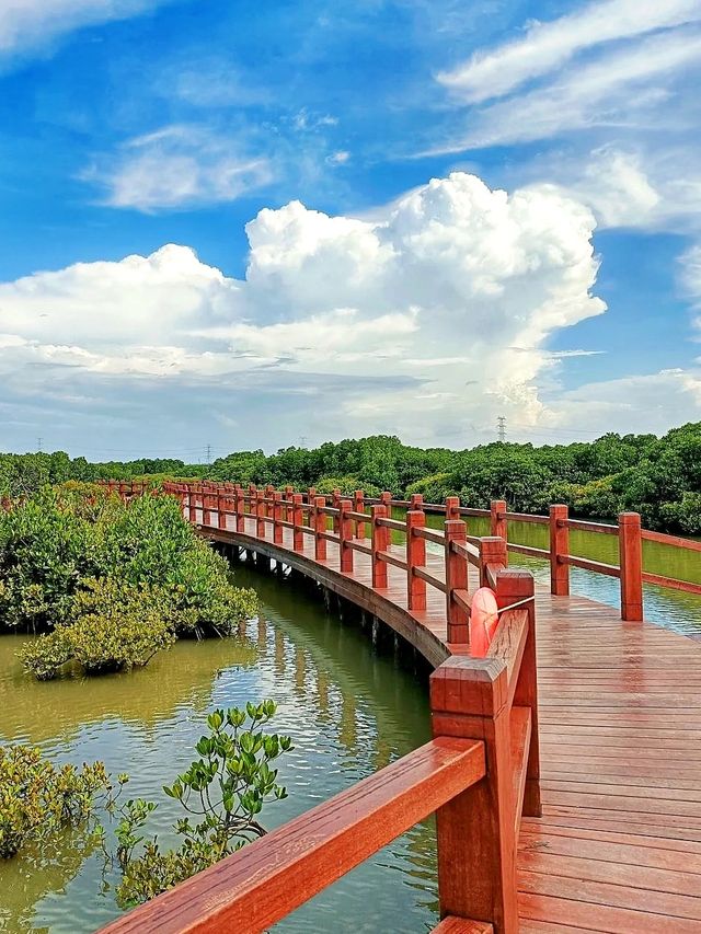 城裡人私藏觀景秘境 城裡人私藏觀景秘境