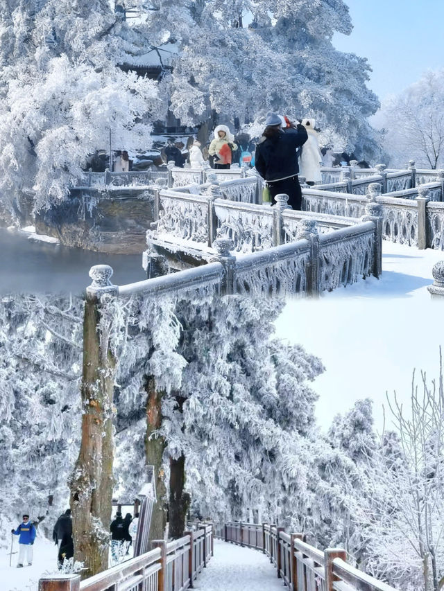 廣東人冬日狂歡!6大超近霧淞賞雪地攻略 廣東人冬日狂歡!6大超近霧淞賞雪地攻略