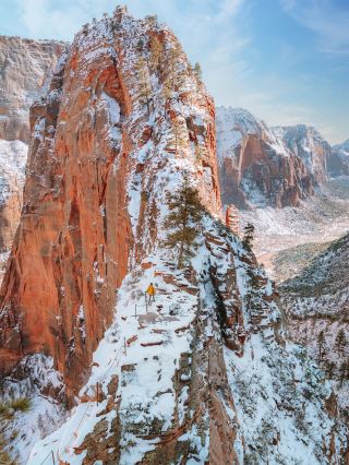 Charter a car from Los Angeles and enjoy the journey! Customized routes to explore national parks