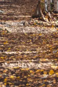 站在中國最北的江灣，擁抱一整片北國的浪漫