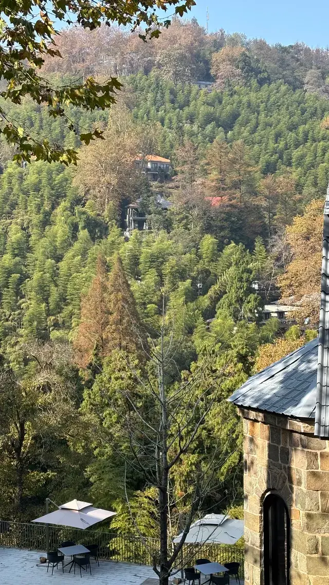 趁紅楓銀杏未落，走一趟莫干山蔣公古道吧！