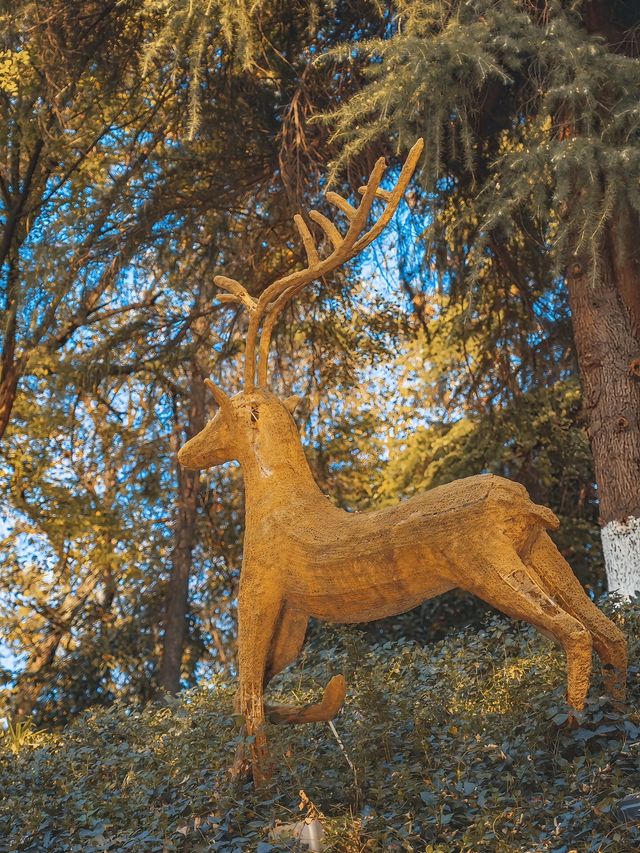 合肥週末全攻略｜廬州煙火+文藝秘境，2天1夜解鎖江淮韻味