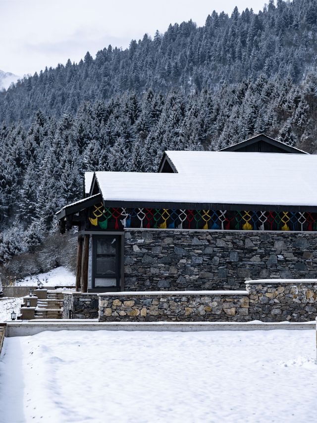 有美隱宿|闖入九寨溝的冬日冰雪詩畫境 有美隱宿|闖入九寨溝的冬日冰雪詩畫境