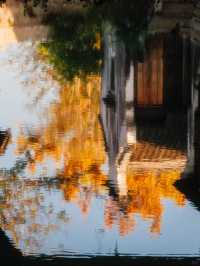 在濮院 | “樹樹皆秋色，波波成畫屏”