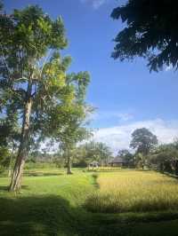 Ideal Bali Stay for First-Timers