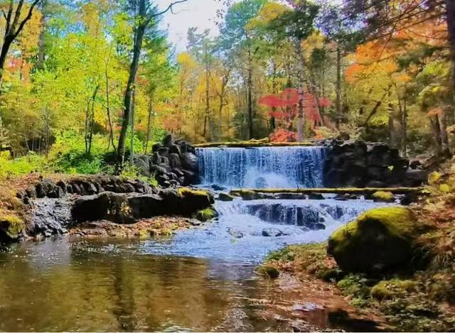 冰雪大世界超全攻略