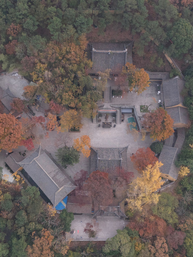 常熟小眾秘境！小雲棲寺的冬天真的美哭了！