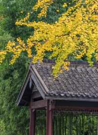 從千年古街到潮玩夜市，這份旅拍攻略藏著城市密碼