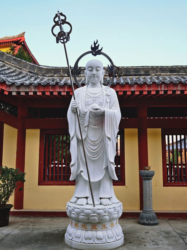 金秋寺廟C位出道保定這個小眾古寺的銀杏美哭了