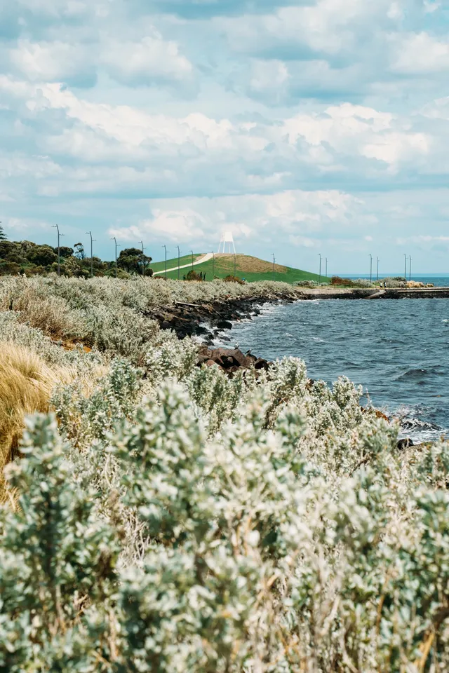 墨爾本海邊跑步,發現了現實版的瘋狂動物城 墨爾本海邊跑步,發現了現實版的瘋狂動物城