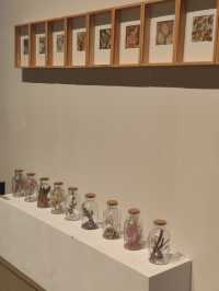 第十三屆上海美術大展