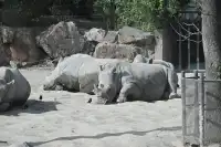 30歲不薅羊毛，更待何時！