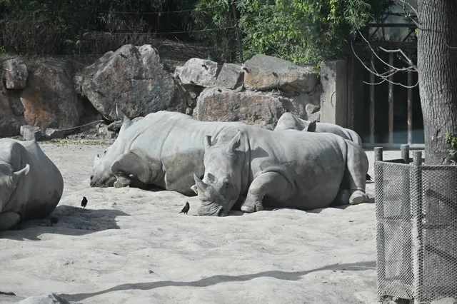 30歲不薅羊毛，更待何時！