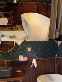 廬山杉與山青民宿：牯嶺鎮的雲端治癒秘境