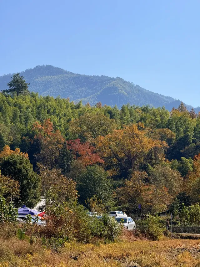 皖南賞秋|安徽四天三晚遊分享 皖南賞秋|安徽四天三晚遊分享