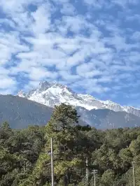 棄了「虎跳峽」選了「虎香公路」
