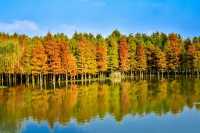 青西郊野公園暴走一天，這裡根本不是普通公園，是藏在城市邊緣的「天然氧吧+童話秘境」，秋冬來剛好！ 